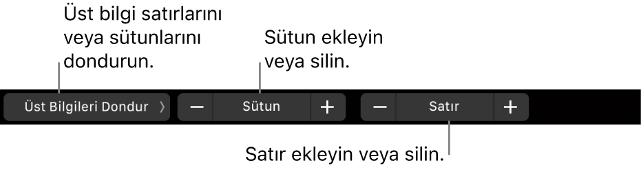 Üst bilgi satırlarını veya sütunlarını dondurma, sütun ekleme veya silme, satır ekleme veya silme denetimleri ile MacBook Pro Touch Bar.