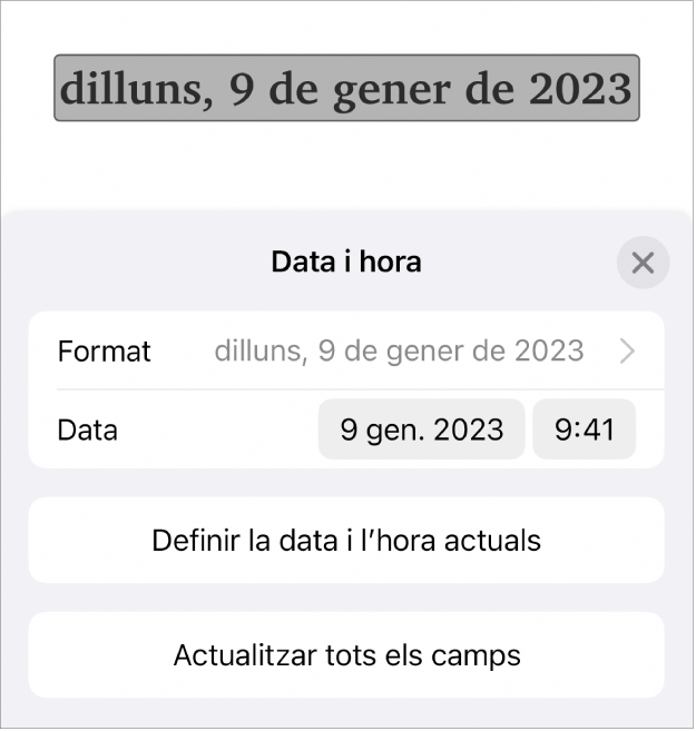 Els controls “Data i hora”, en què es mostra un menú desplegable per al format de la data i el botó “Defineix la data i hora actuals”.