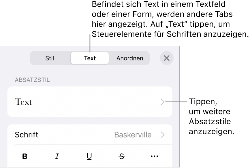 Das Menü „Format“ mit Textsteuerelementen zum Festlegen von Absatz- und Zeichenstilen, Schrift, Größe und Farbe