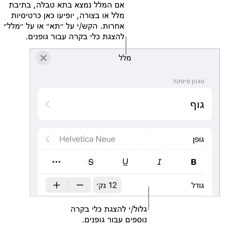 כלי בקרה של מלל בתפריט ״עיצוב״ להגדרת סגנונות, גופן, גודל וצבע עבור פיסקאות ותווים.
