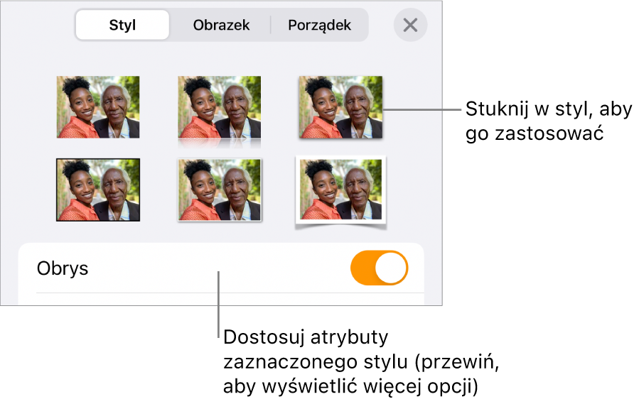 Karta Styl w menu Format, zawierająca na górze style obiektu, a poniżej narzędzie do zmiany obrysu.