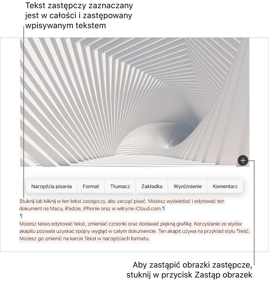 Tekst zastępczy i obrazki zastępcze.
