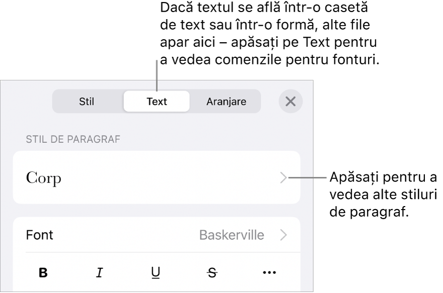 Meniul Format afișând comenzi de text pentru configurarea stilurilor, fonturilor, dimensiunii și culorii paragrafelor și caracterelor.