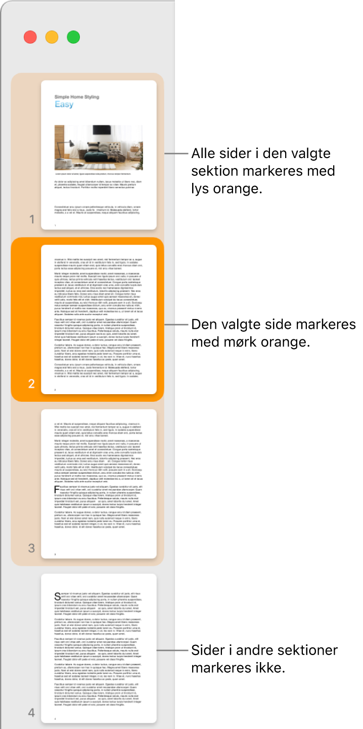 Miniatureoversigten med den valgte side fremhævet med mørk orange og alle siderne i den valgte sektion fremhævet med lys orange.