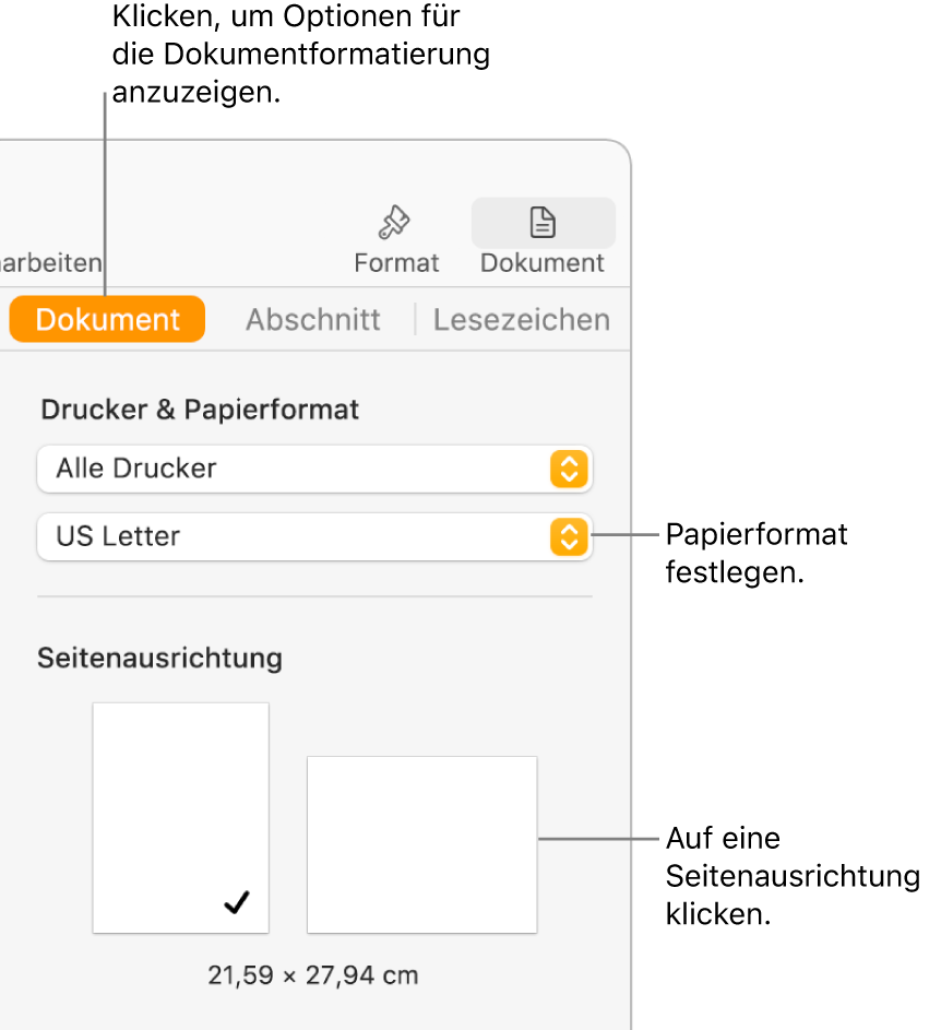 Oben in der Seitenleiste „Dokument“ ist der Tab „Dokument“ ausgewählt. In der Seitenleiste befinden sich ein Einblendmenü, das auf das Papierformat eingestellt ist, und Tasten für die Seitenausrichtung im Hochformat und Querformat.