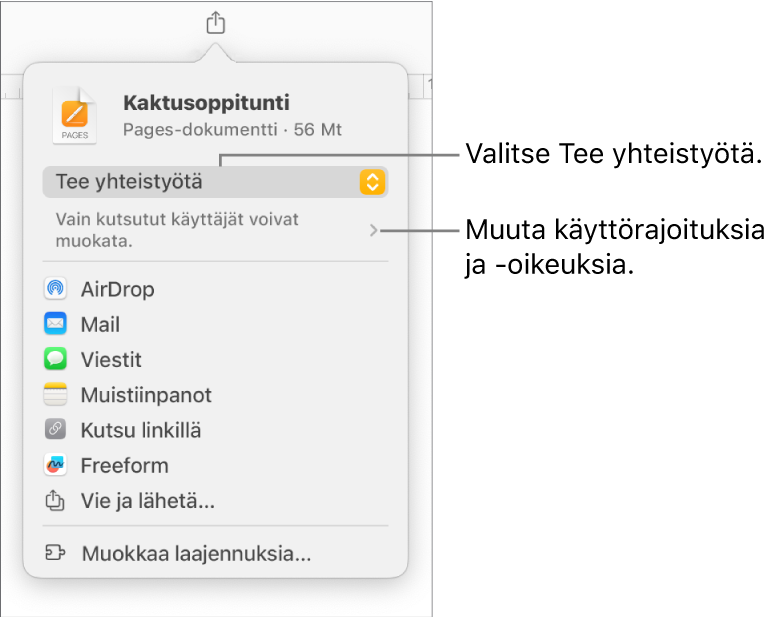 Jaa-valikko, jossa on ylhäällä valittuna Tee yhteistyötä, ja sen alla ovat käyttöoikeus- ja lupa-asetukset.
