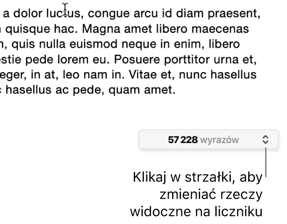 Menu pokazujące liczbę wyrazów w dokumencie.