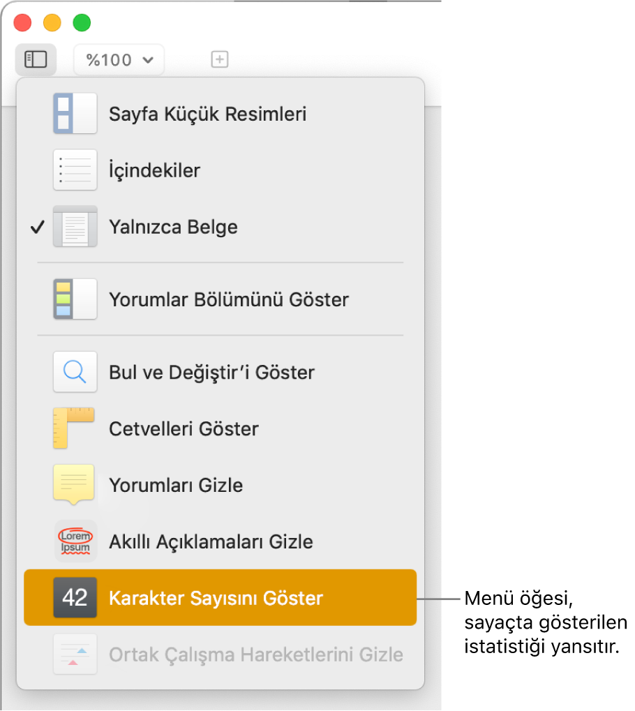 En alt taraftaki Karakter Sayısını Göster ile birlikte açık Görüntü menüsü.
