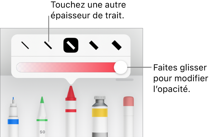 Commandes pour choisir une épaisseur de trait et curseur pour ajuster l’opacité.