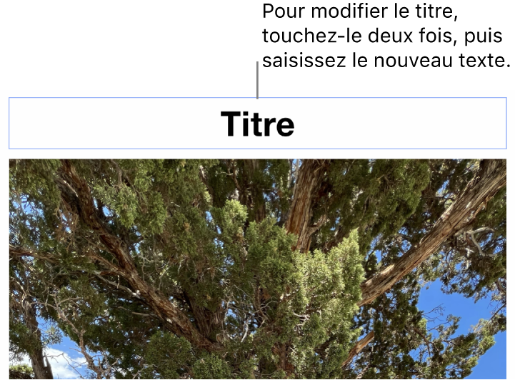 Le paramètre fictif de titre, « Titre », est affiché sous une photo. Un contour bleu autour du champ du titre indique qu’il est sélectionné.