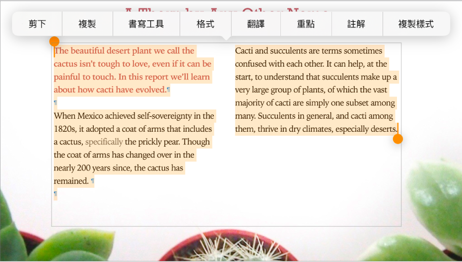 文字,其中顯示分段標記和章節標記的符號。