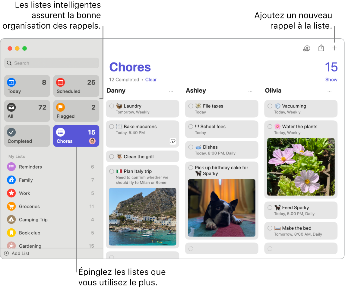 Fenêtre de Rappels avec des listes intelligentes sur la gauche, et d’autres rappels et listes en dessous. Le pointeur se trouve sur un rappel. Les listes intelligentes et le bouton « Ajouter un nouveau rappel » sont accompagnés de légendes.