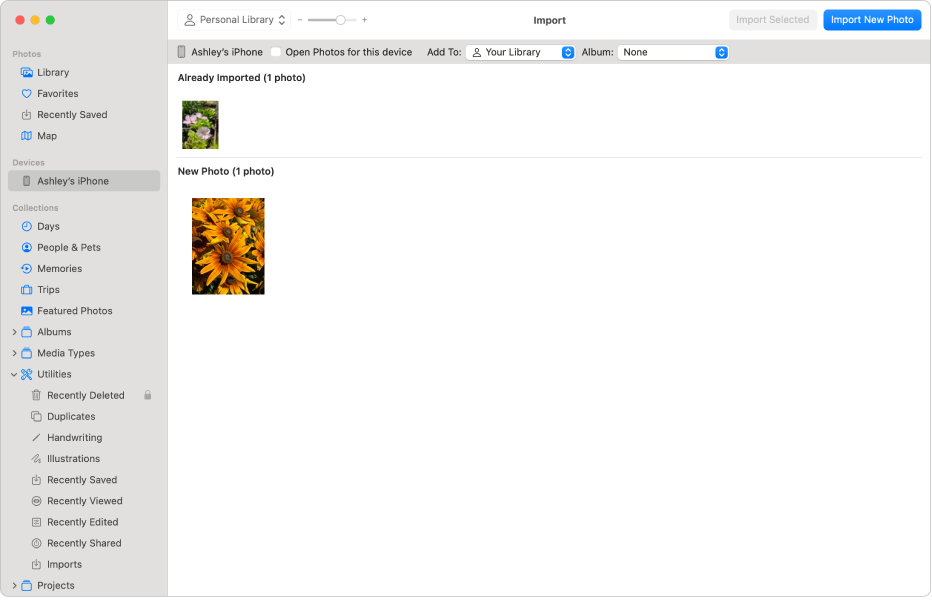 В приложении «Фото» в боковом меню выбран iPhone и открыто окно импорта.