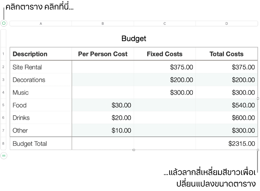 ตารางที่เลือกอยู่พร้อมสี่เหลี่ยมสีขาวสำหรับปรับขนาด