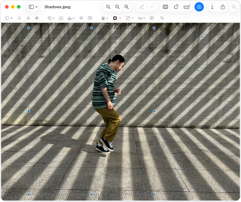 Une fenêtre Aperçu affichant une image. Des lignes pointillées et des points bleus délimitent la zone recadrée.