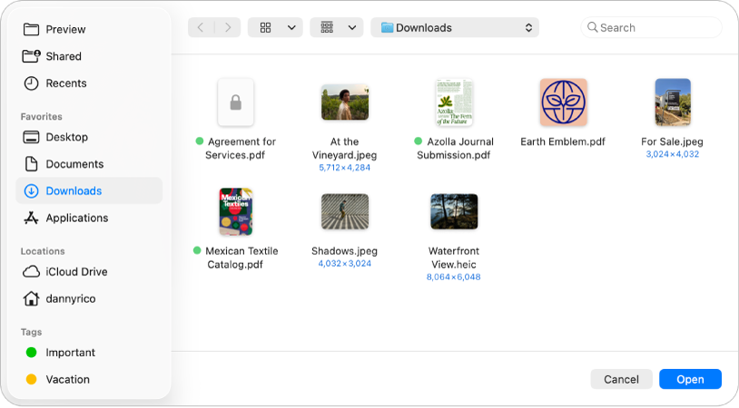 תיבת הדו-שיח ״פתיחת קובץ״ ביישום ״תצוגה מקדימה״, המציגה מסמך PDF וקובץ תמונה כאייקונים. בפינה השמאלית התחתונה מופיעים הכפתורים ״ביטול״ ו״פתיחה״.