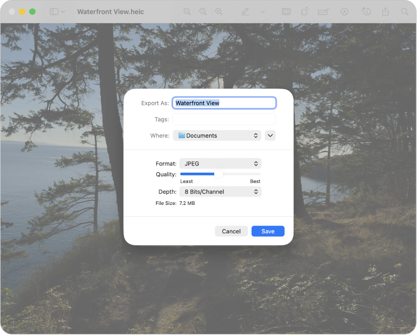 אפשרויות ״ייצוא״ בתצוגה מקדימה.