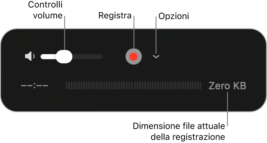 Controlli di registrazione che includono il controllo del volume, il pulsante Registra e il menu a comparsa Opzioni.
