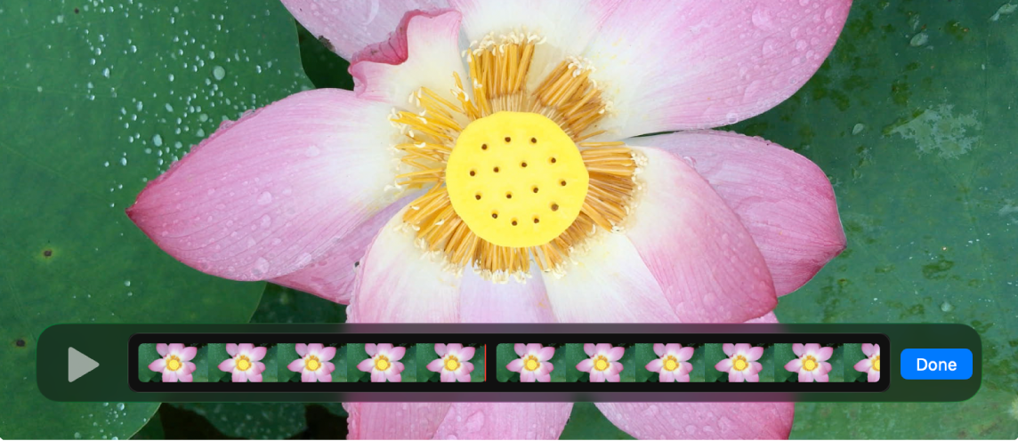 Film je odprt, urejevalnik izrezkov pa je prikazan na dnu.