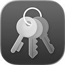 Das Symbol für „iCloud Schlüsselbund“.