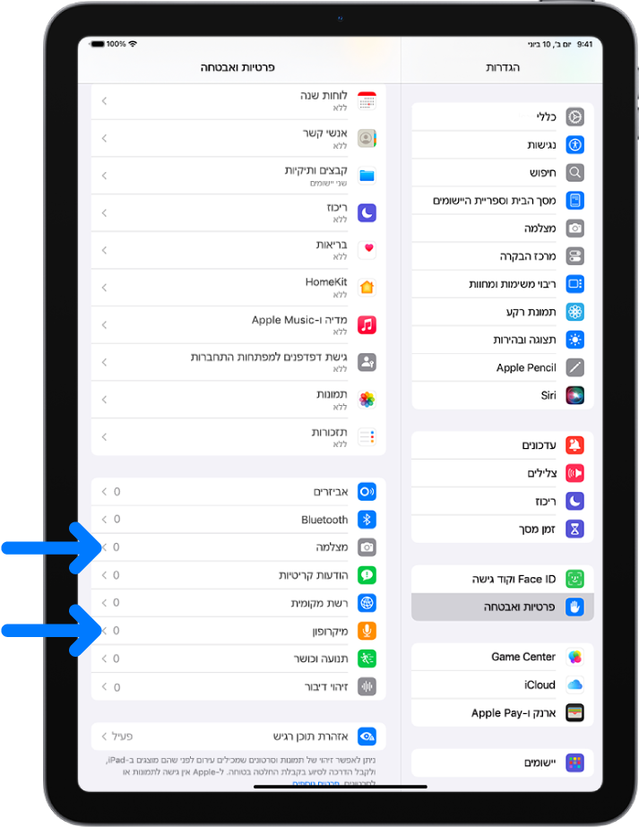 מסך ״פרטיות ואבטחה״ עם הגדרות לקביעה אם יישומים יוכלו להשתמש במצלמה, במיקרופון ובחלקים אחרים של ה-iPad.