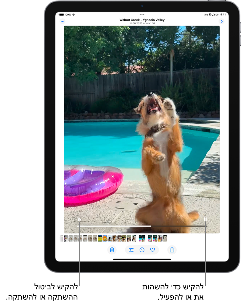 נגן הווידאו של ״תמונות״ נמצא במרכז המסך ווידאו מוצג. בתחתית הסריטן, מימין לשמאל מוצגים הכפתור ״הפעלה/השהיה״, מד התקדמות, והכפתור ״השתקה/עוצמת שמע״.