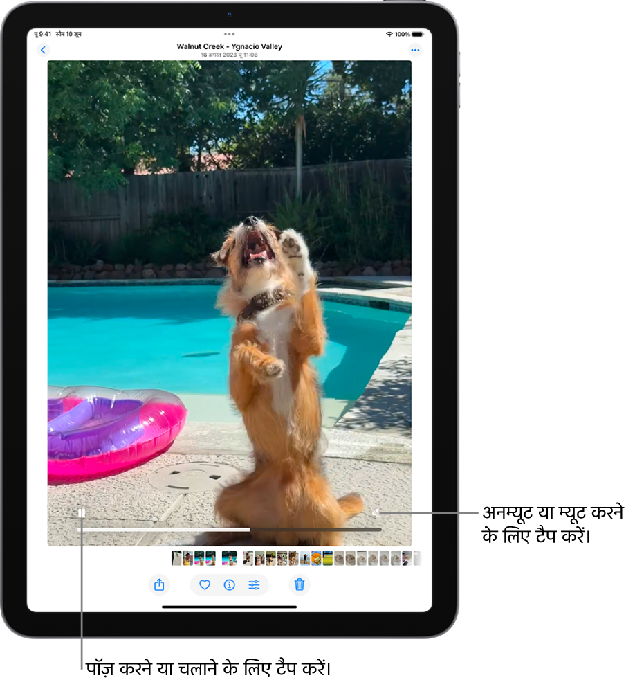 स्क्रीन के बीच में तस्वीर ऐप वीडियो प्लेयर है और वीडियो चालू है। वीडियो के सबसे नीचे, बाएँ से दाएँ चलाएँ/पॉज़ करें बटन, प्रगति बार और म्यूट करें/ वॉल्यूम बटन हैं।