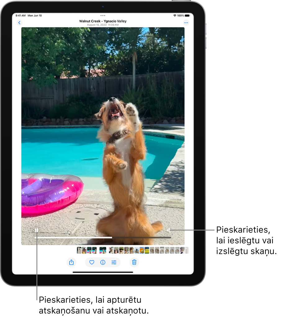 Ekrāna vidū ir lietotnes Photos video atskaņotājs, un tiek atskaņots video. Videoklipa apakšā no kreisās puses uz labo ir Play/Pause poga, norises josla un Mute/Volume poga.