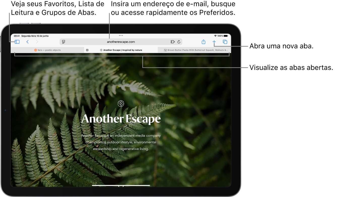 Uma página web aberta. Ao longo da parte superior, da esquerda para a direita, estão: o botão Barra Lateral, o título do Grupo de Abas aberto no momento, os botões Anterior e Seguinte, o campo de busca, o botão Compartilhar, o botão Nova Aba e o botão Visão Geral de Abas.