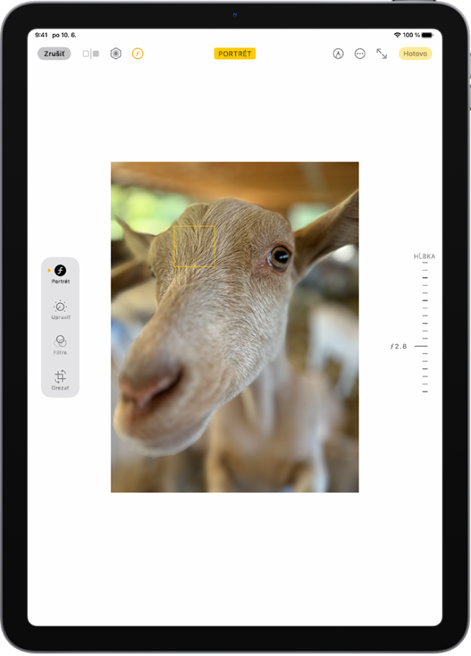 Obrazovka úprav pre fotku nasnímanú v režime Portrét. Uprostred obrazovky je fotka zhotovená v režime Portrét. Na pravej strane obrazovky je posuvník na zmenu nastavenia Úprava hĺbky. Na ľavej strane obrazovky sa nachádzajú tlačidlá Portrét, Upraviť, Filtre a Orezať. Tlačidlo Portrét je vybrané.
