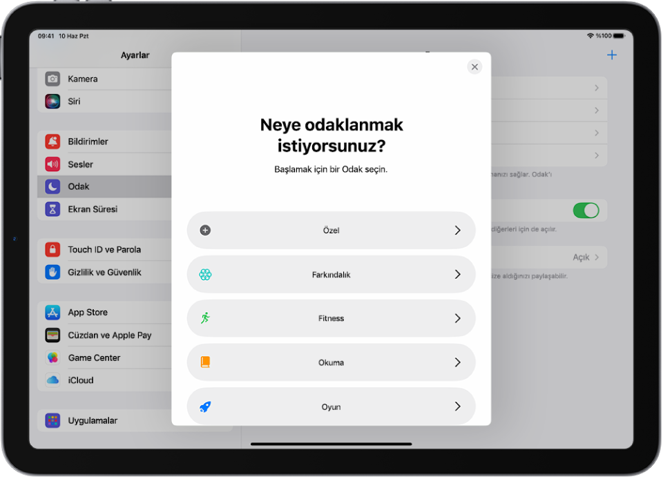 Özel, Fitness, Oyun, Farkındalık ve Okuma da dahil olmak üzere sağlanan ek Odak seçenekleri için Odak ayarlama ekranı.