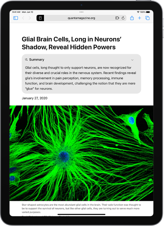 Safari uygulamasında bir web sitesini gösteren iPad. Ekranın en üstünde web sitesinin özeti var.
