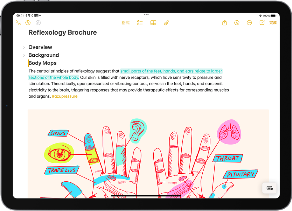 “备忘录” App 中的备忘录,屏幕顶部显示可收起的小标题。