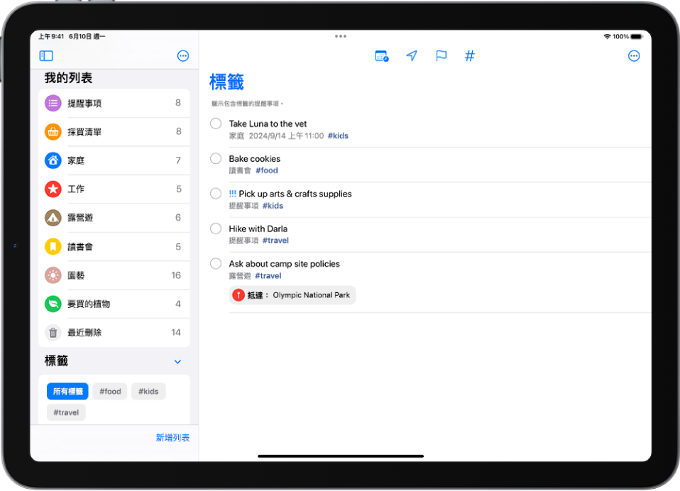 「提醒事項」App 顯示多個列表,「標籤瀏覽器」位於左側。右側列表包含帶有標籤的所有項目。