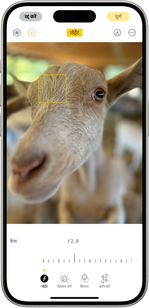 तस्वीर में किसी पोर्ट्रेट की “संपादित करें” स्क्रीन। पोर्ट्रेट स्क्रीन के मध्य में है और तस्वीर के नीचे, डेप्थ ऐडजस्टमेंट सेटिंग को ऐडजस्ट करने के लिए एक स्लाइडर है। स्लाइडर के नीचे बाएँ से दाएँ, पोर्ट्रेट, ऐडजस्ट, फ़िल्टर और क्रॉप बटन हैं। पोर्ट्रेट बटन चुना गया है।