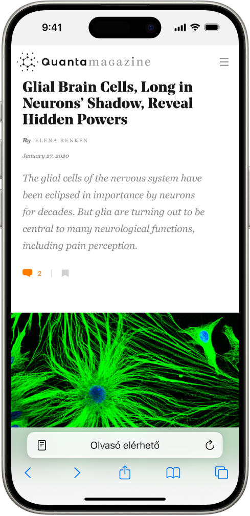Egy webhely van megnyitva a Safariban. A címmezőben az látható, hogy az Olvasó elérhető a webhelyhez.