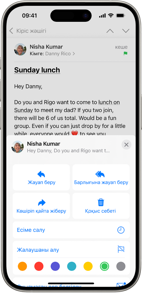 Экранның төменгі жартысында жауап опцияларын, соның ішінде «Жалаушаны алу» түймесін және жалаушалар үшін түс таңдауларын көрсетіп тұрған хабар.