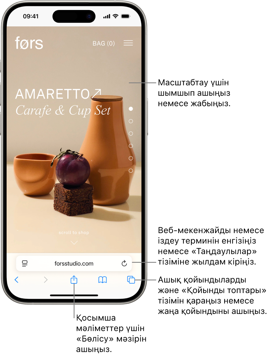 Төменгі жағында мекенжай өрісі бар Safari браузерінде ашық тұрған веб-сайт. Төменде солдан оңға қарай — «Артқа», «Көшіріп қайта жіберу», «Бөлісу», «Бетбелгілер» және «Қойындылар» қойындылары.