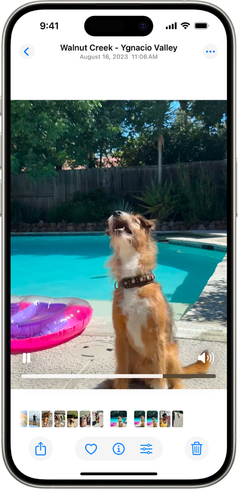 အောက်ခြေတစ်လျှောက်တွင် Play/Pause ခလုတ်၊ လုပ်ငန်းစဥ်ပြဘားတစ်ခုနှင့် Mute/Volume ခလုတ်တစ်ခုပါဝင်သော ပွင့်နေသည့်ဗီဒီယိုတစ်ခု။ ညာဘက်ထိပ်ထောင့်တွင် ရှာဖွေခြင်းသို့ပြန်သွားရန် Close ခလုတ်တစ်ခုရှိသည်။