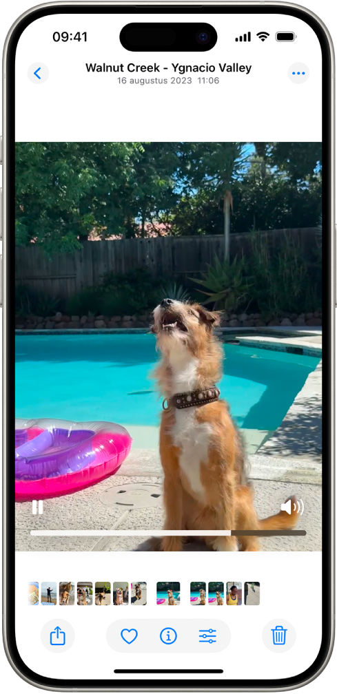 Een geopende video met onderaan een afspeel-/pauzeknop, een voortgangsbalk en de knop voor volume/geluid. Rechtsbovenin staat een sluitknop waarmee je teruggaat naar de weergave waarin je aan het bladeren was.