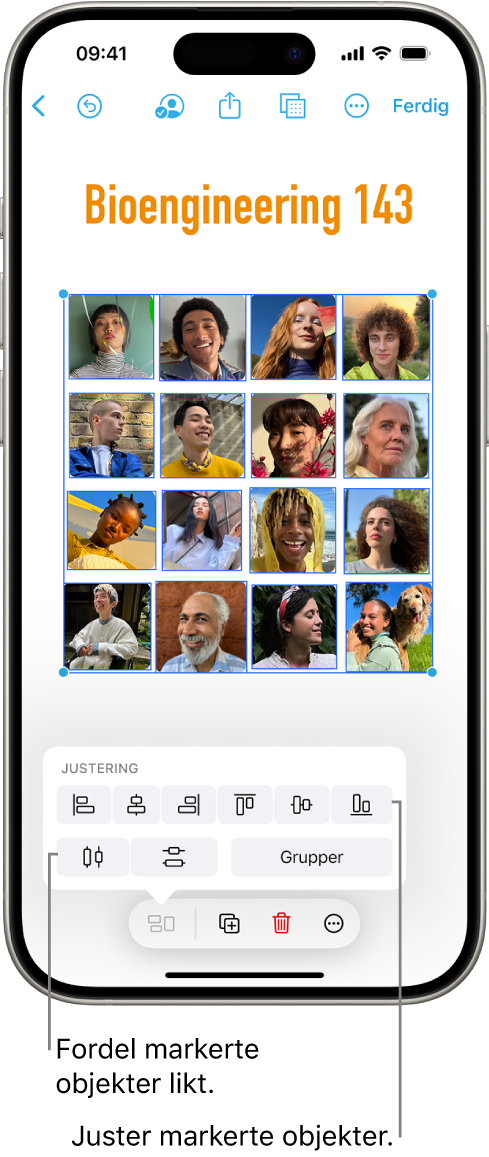 En Freeform-tavle med et rutenett med bilder. Flere bilder markeres, og verktøyene for justering og gruppering vises over dem.