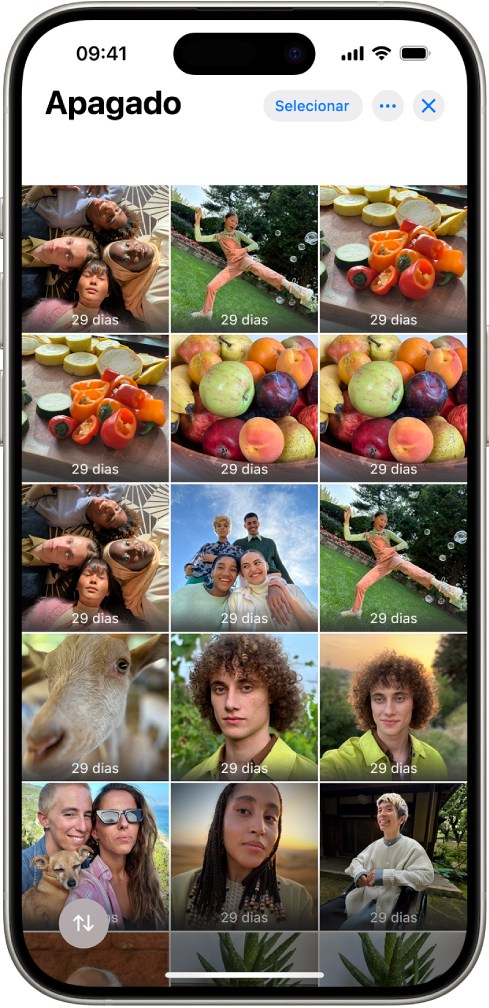 A pasta “Apagadas recentemente” na aplicação Fotografias. As fotografias apagadas recentemente aparecem numa grelha no ecrã.