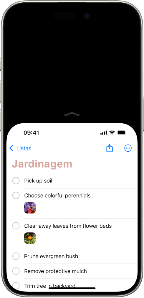 O ecrã do iPhone com o acesso fácil ativado. A parte de cima do ecrã deslocada para baixo, para que esteja facilmente acessível ao polegar.