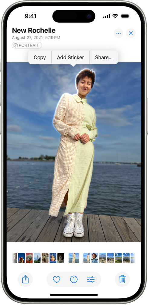 تصویر ایپ کی لائبریری میں تصویر کھلی ہے۔ تصویر کے بیچ میں سبجکٹ کو آؤٹ لائن کیا گیا ہے اور اس کے اوپر “کاپی کریں”، “اسٹیکر شامل کریں” اور “شیئر کریں” بٹن ظاہر ہوتے ہیں۔