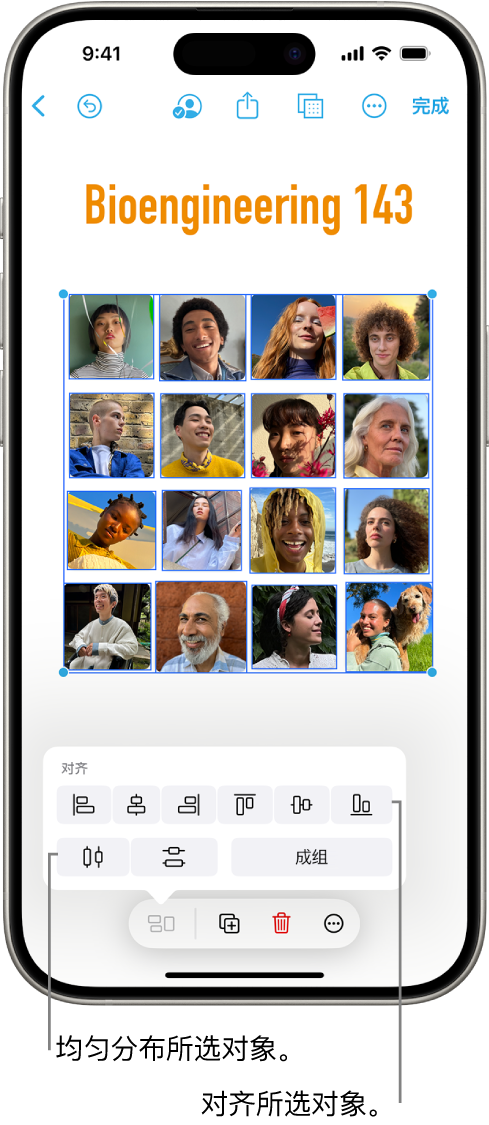 “无边记”看板上填充了照片网格。多张照片被选中,对齐和成组工具显示在照片上方。