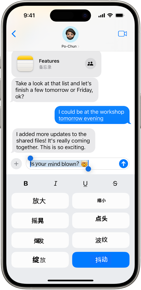 “信息”对话的文本栏中已选中一条新信息,其下方显示格式和效果选项。所选文本显示了效果预览。