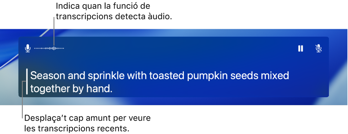 Transcripcions d’àudio en temps.