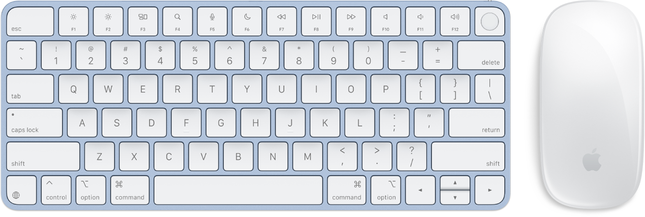 The Magic Keyboard with Touch ID and Magic Mouse.