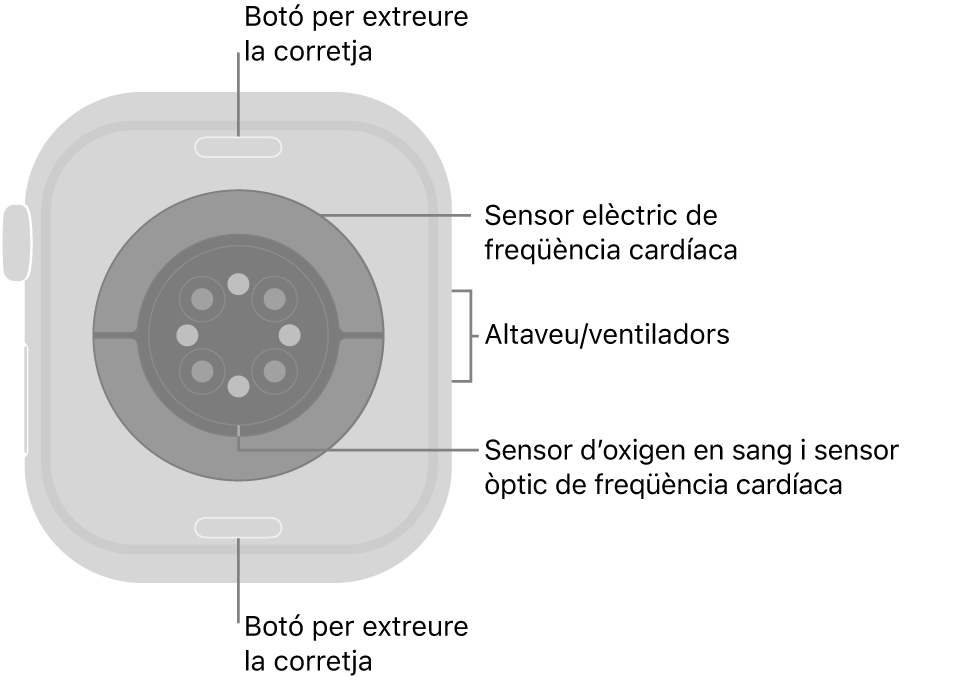 La part de darrere de l’Apple Watch Series 10 mostra els botons per obrir la corretja a dalt i a baix; els sensors elèctrics cardíacs, els sensors òptics cardíacs i els sensors d’oxigen en sang al mig, i l’altaveu i les sortides de ventilació a la part lateral del rellotge.