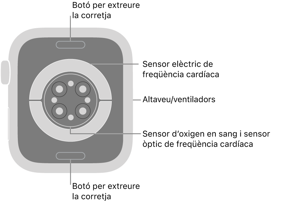 La part de darrere de l’Apple Watch Series 9 mostra els botons per obrir la corretja a dalt i a baix; els sensors elèctrics cardíacs, els sensors òptics cardíacs i els sensors d’oxigen en sang al mig, i l’altaveu i les sortides de ventilació a la part lateral del rellotge.